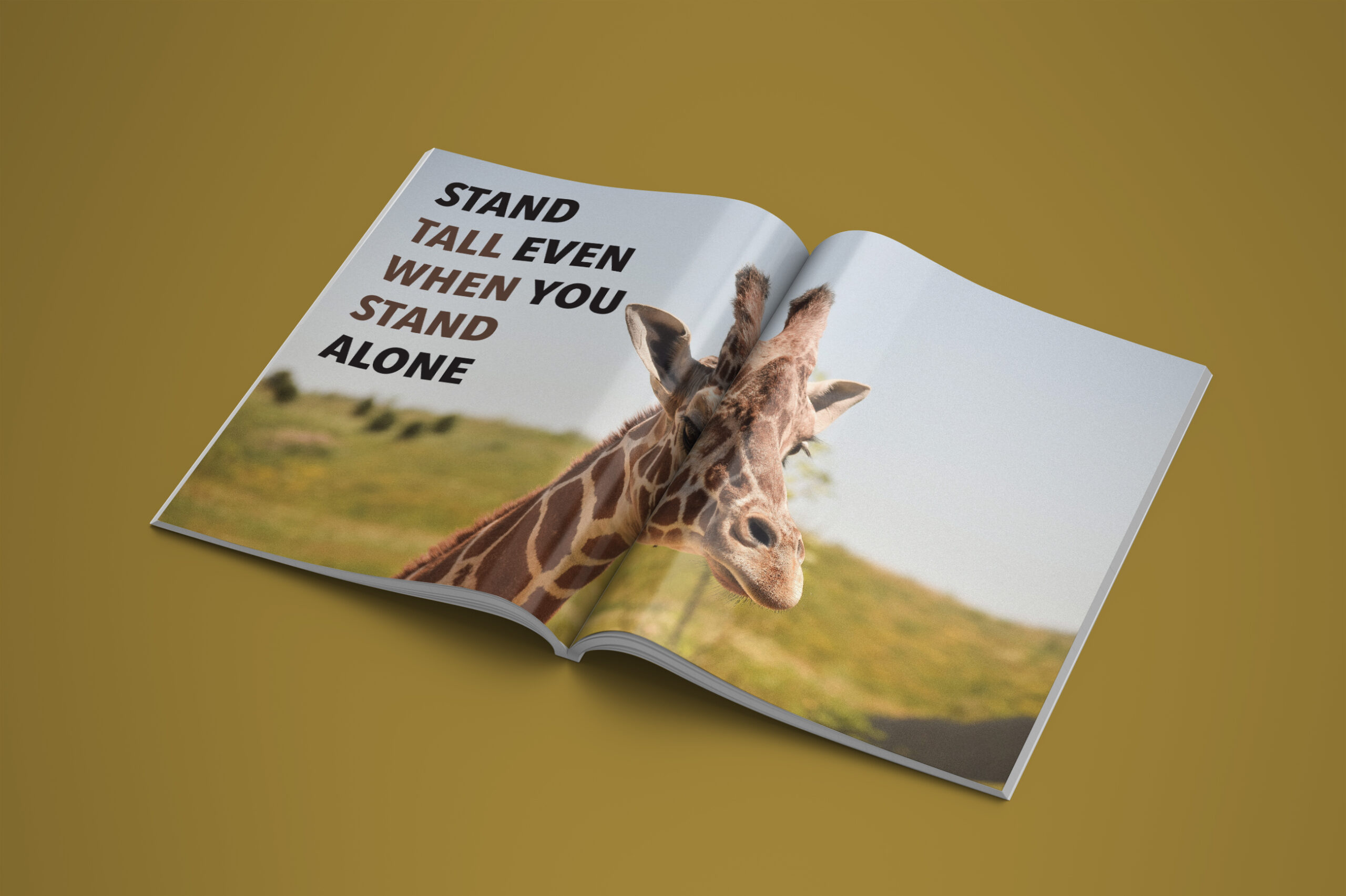 Magazine Mockup 3 scaled