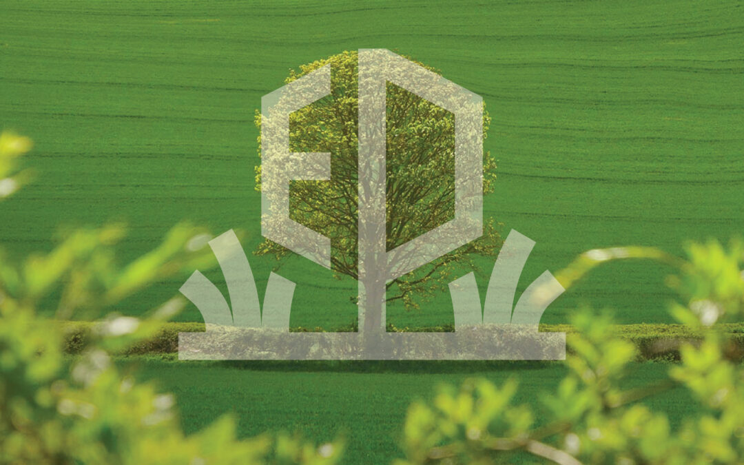 Epitropakis | Lawn & Plants Care