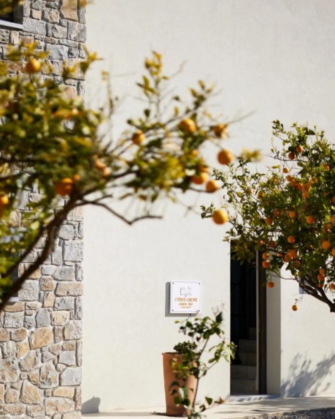 Citrus Grove Villa Visual identity symithengraphics graphic designer rethymno (7)